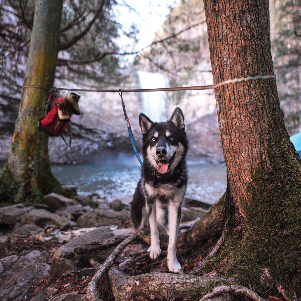 Kurgo Ridgeline Tie Out Camping Dog Tether