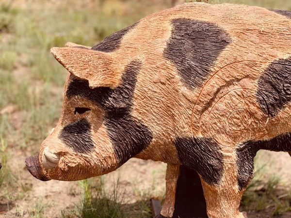 Wildcrete Australian Feral Boar 3D Archery Target - Black