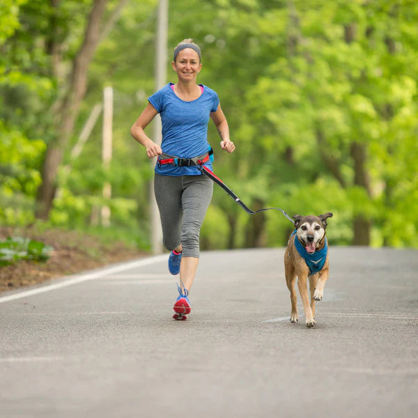 Kurgo Springback Dog Leash - Hiking & Running Leash
